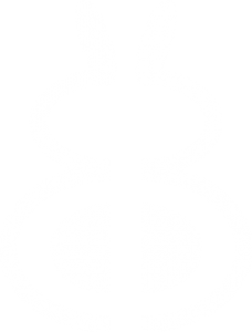 Fastrabbit white Logo icon